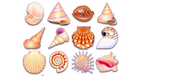 Скачать Sea Shells