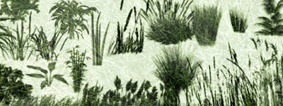 Скачать Grasses and Plants PS Brushes by redheadstock