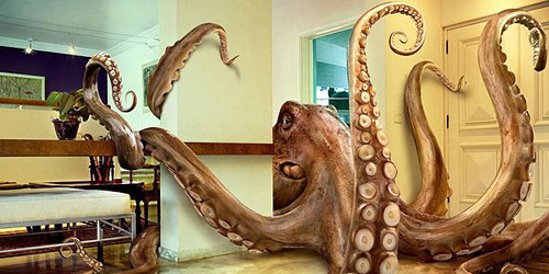 Перейти на Octopus