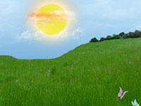 Скачать пейзажные текстуры с изображением яркой зеленой травы и голубого неба
