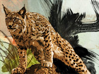 Создаем в фотошопе акварельный постер с крадущимся тигром