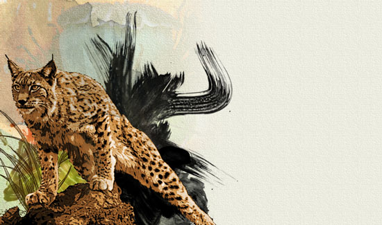 Создаем в фотошопе акварельный постер с крадущимся тигром