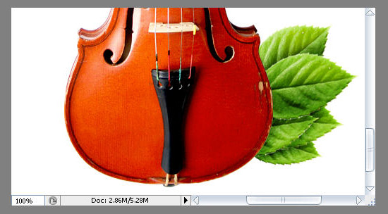 Создаем в фотошопе композицию со скрипкой, листьями и плачущей розой