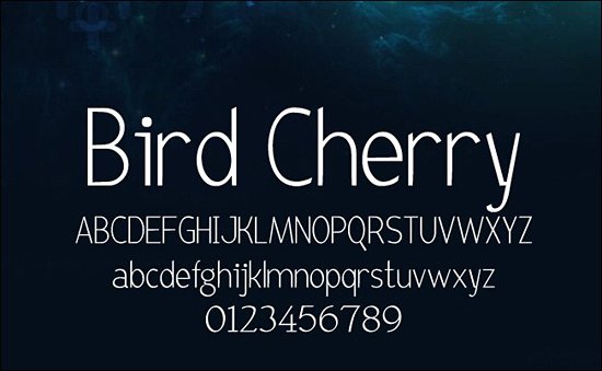 Bird Cherry