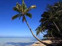 Скачать картинки с изображениями солнечных тропических пляжей