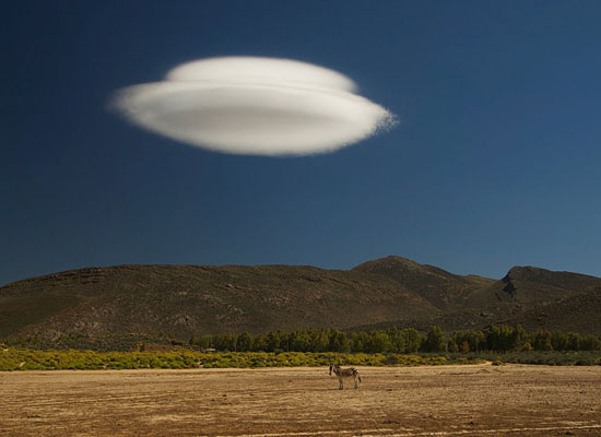 Перейти на Zebra and Cloud, South Africa