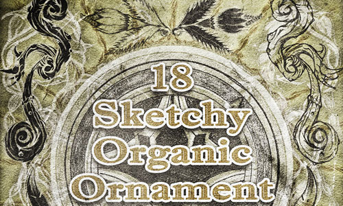 Скачать Organic Ornament Brushes