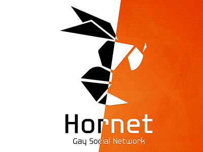 Перейти на Hornet Logo