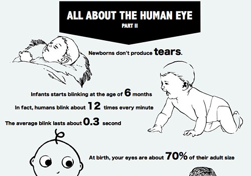 Перейти на All About The Human Eye