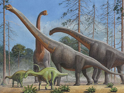 Перейти на Брахиозавры И Дикреозавры